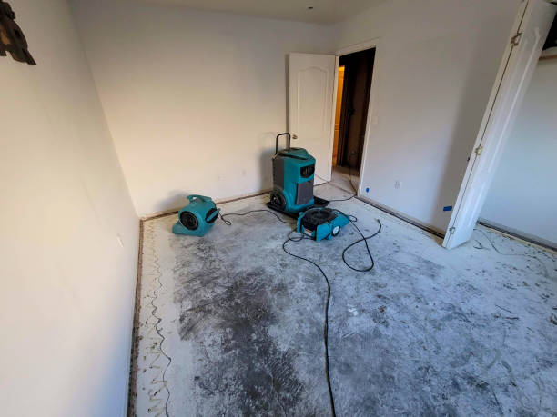 Best Professional water damage repair  in Buckhorn, CA