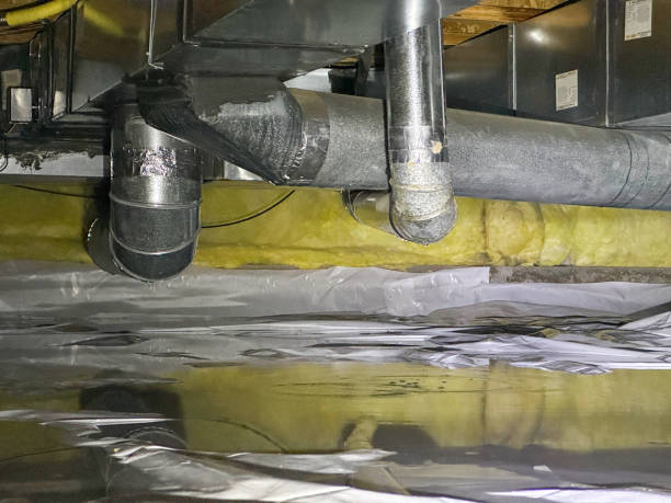 Best Basement water damage restoration  in Buckhorn, CA