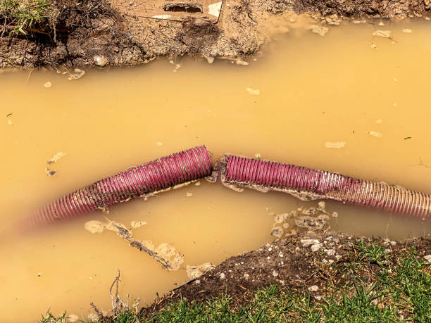 Water damage restoration insurance claims in Buckhorn, CA